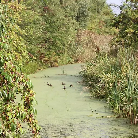 Domki Ranczo Itrich Gerendaház Łeba