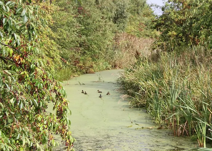 Domki Ranczo Itrich Jaktstuga Łeba