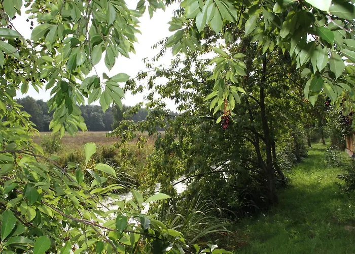 Jaktstuga Domki Ranczo Itrich